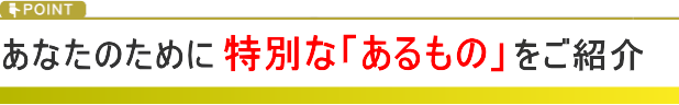 POINT この記事を読んでくれた方のために特別な情報をご紹介