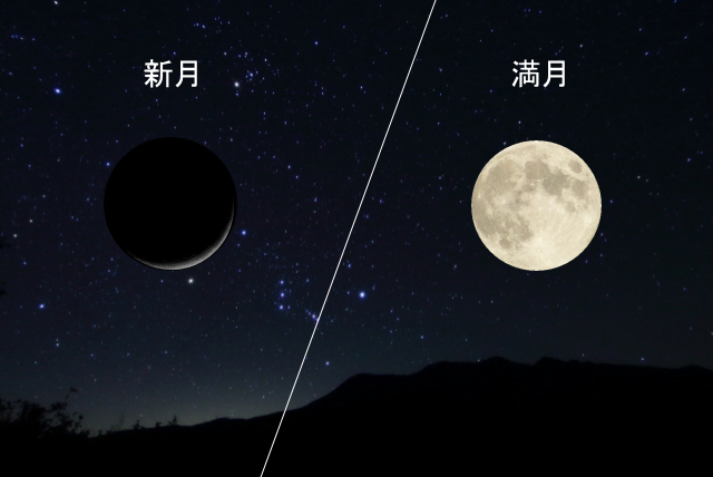 新月と満月は毎月1回のみ